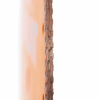 Vaunt Diamond Blade General Purpose 300mm x 20mm