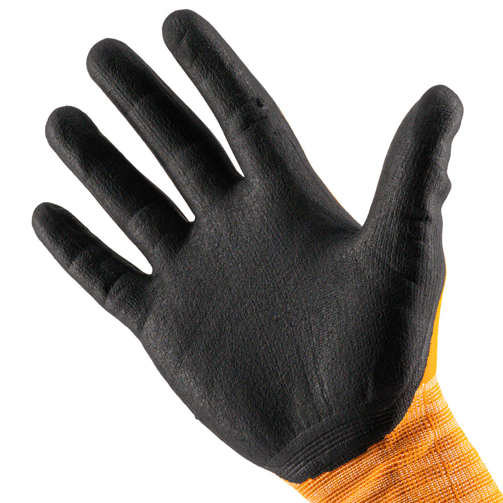 Vaunt Nitrile Flex Gloves (Large) - Pack of 10